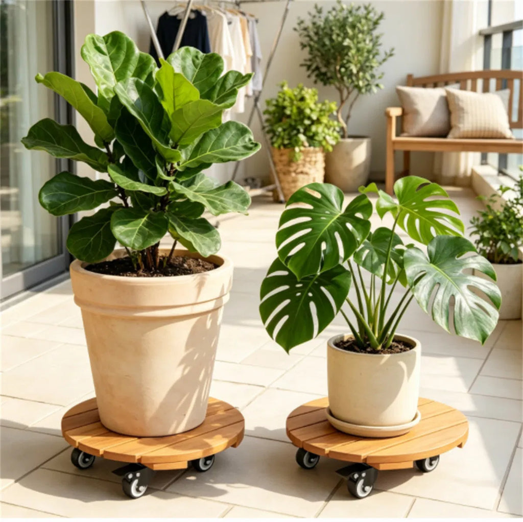 Natural Acacia Rolling Plant Caddies — Set of 2 — view 6
