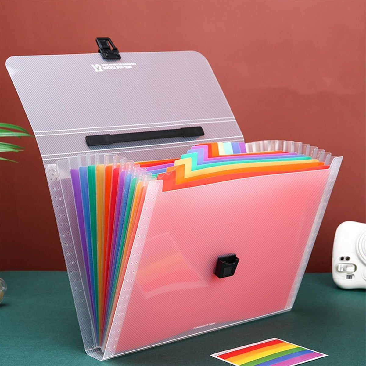 13-Pocket Rainbow Accordion File Organizer