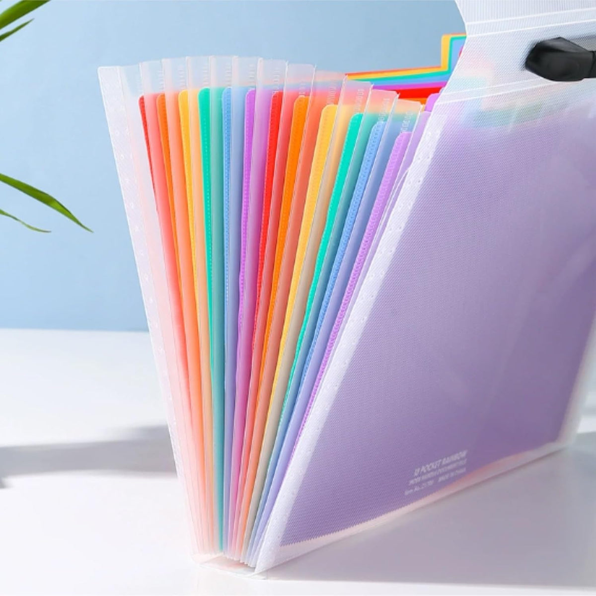 13-Pocket Rainbow Accordion File Organizer